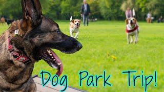 Enzo Goes to Dog Park - Hopefully He Makes FRIENDS. Plus Lotus Left HOME ALONE!