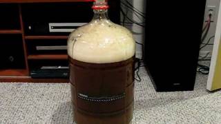 First Brew   Belgian Golden Strong Ale