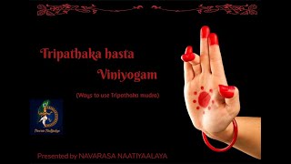 Tripathaka hasta Viniyogam by Navarasa Naatiyaalaya