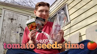 How to winter sow tomatoes seeds