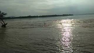 Godavari flood