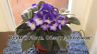 В гости с обзором цветочков🍀🍀🍀🌺💚