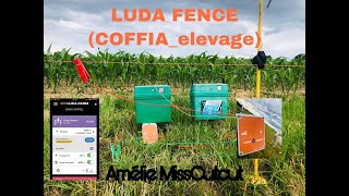 Comment gérer sa clôture électrique à distance ? Coffia-élevage - [LUDA FENCE] 📲