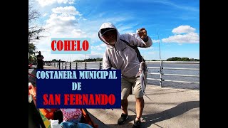 VARIADA EN COHELO, COSTANERA MUNICIPAL DE SAN FERNANDO 2022