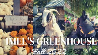 DITL Vlog | Sunday Funday | Imel's Greenhouse #unboxygirl99 #ditl #fall