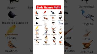 Birds Names with picture 🇺🇲#shorts #english #youtubeshorts