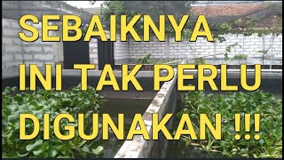 CARA BUDIDAYA IKAN GURAME DI KOLAM BETON || SEBAIKNYA ITU TAK PERLU DIGUNAKAN !