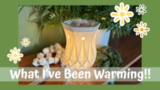 What I’ve Been Warming!