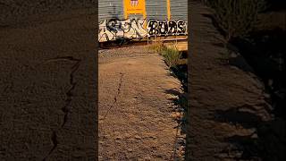 Magnet Fishing near Railroad Crossing Bridge