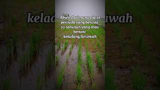 dari daerah mana aja ini? #bismillah #pemuda #bertani #fyp #viral #shorts #padi #sawah