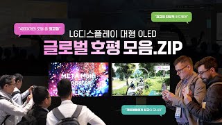 "One of the best TVs ..." 글로벌 호평이 쏟아지는 OLED TV와 게이밍 OLED!