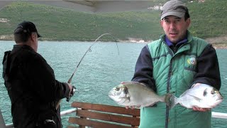 Pecanje na moru u Boki Kotorskoj - Crna Gora - Pecanje na žive mamce | Fishing at sea