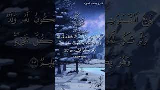 سورة الأنعام ( ١٠٠ - ١٠٢) / سعود الشريم