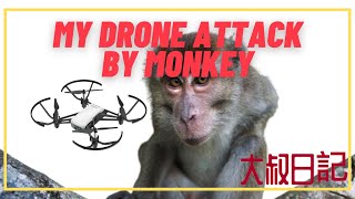 大叔日记 Big Uncle Diary - My Drone Attack by monkey