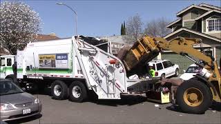 Neighborhood Clean Up: South Yard