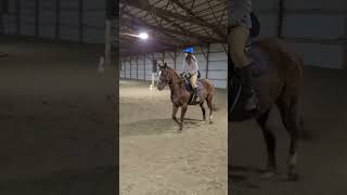 Bethany on Kitten old video #horse #dressage #equestrian #riding #shortvideos #jumping