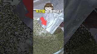 물리엔진 고장