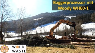 Starkholzernte - Baggerprozessor Hyundai mit Woody WH60-1 Starkholzernte