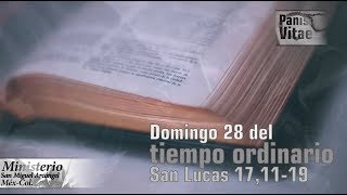 Reflexión del santo Evangelio Dominical Panis Vitae, Domingo 28 del tiempo Ordinario