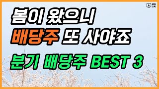 24년 1분기, 주목해볼 분기배당주 BEST 3