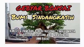 GEBYAR  BONSAI BUMI  SINDANGKASIH  KONTES &  PAMERAN  BONSAI  NASIONAL  TK  MADYA  MAJALENGKA JABAR