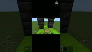 Magic door in minecraft.