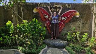 Aspergirl Adventures Bali: Kemenuh Butterfly Park