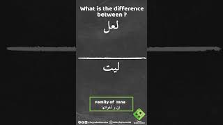 What is the difference between 5: (لعل & ليت)