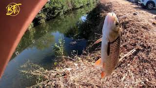 street fishing a pau