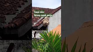 tawon ndas serang rumah warga