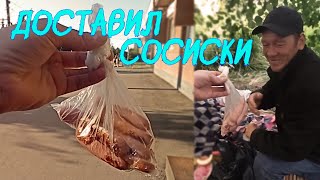 ЮННАТ ДОСТАВИЛ ЖАРЕННЫЕ ВЕНСКИЕ СОСИСКИ МАЛОИМУЩИМ /Бродячая Семья ч.2 #бродяга #доставка