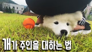 도대체 나를 뭘로 아는지...