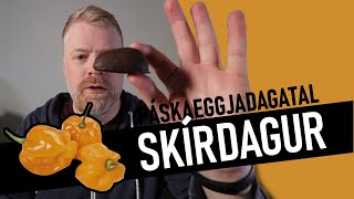 Páskachilidagatal | Skírdagur