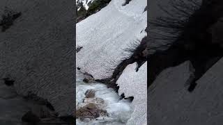 Apikuni Falls, Glacier National Park.