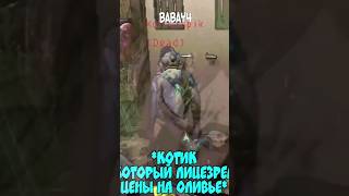 цены на оливье #игры #приколывиграх #lethalcompanygame #игровыеприколы