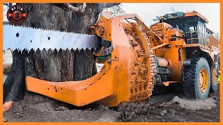 Fastest Cutting Tree Machines At Another Level | Dangerous Oversize Logging Truck Driving Skill