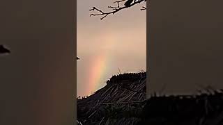 el arcoiris al atardecer