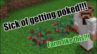 The BEST and SAFEST way to farm SWEET BERRIES in Mincraft!!!