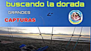 Gran picada... grandes peces. SURFCASTING GRANADA