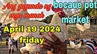 Ang gaganda ng mga manok bocaue pet market, April 19 2024 Friday.