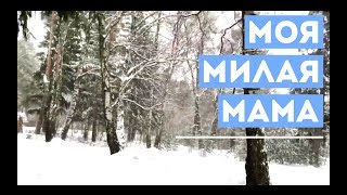 Моя милая мама.