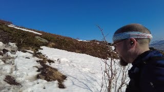 Vlog jog: Run to the mountains - Arctic running