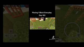 Placing 1 Block Everyday In Minecraft - Day 103