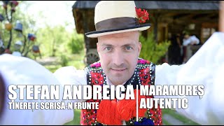 Stefan Andreica - Tinerete scrisa-n frunte