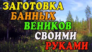 Заготовка банных веников своими руками.