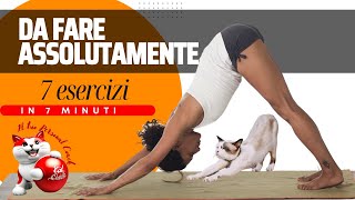 7 ESERCIZI DI STRETCHING DI RISCALDAMENTO DA NON SALTARE: PRONTI PER L'AZIONE