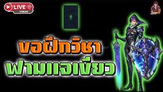 🔴Cabal : Infinite Combo I ขอฝึกวิชาฟามแจ รอดไหม?