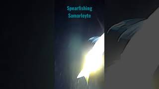 Night Spearfishing Samarleyte