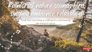 Rainforest nature sounds bird singing ambience relaxation