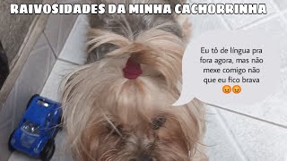 As raivosidades da minha cachorrinha kkkkkk